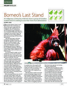 Conservation / Balikpapan / Wildlife sanctuaries / Oil palm / Borneo Orangutan Survival / Samboja Lestari / Willie Smits / Orangutan / Brent Loken / Kalimantan / Environment / Borneo