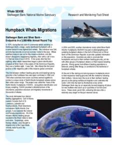 Whale SENSE Stellwagen Bank National Marine Sanctuary Research and Monitoring Fact Sheet  Humpback Whale Migrations