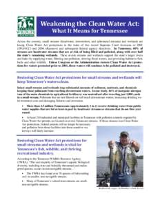 Weakening the Clean Water Act: What It Means for Tennessee Across the country, small streams (headwater, intermittent, and ephemeral streams) and wetlands are losing Clean Water Act protections in the wake of two recent 