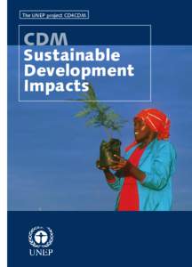 The UNEP project CD4CDM  CDM Sustainable Development