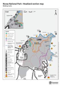 Noosa National Park Headland Section walking tracks map