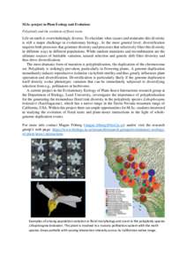 M.Sc.-project in Plant Ecology and Evolution: Polyploidy and the evolution of floral traits. Life on earth is overwhelmingly diverse. To elucidate what causes and maintains this diversity is still a major challenge in ev