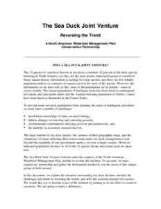The Sea Duck Joint Venture Reversing the Trend A North American Waterfowl Management Plan Conservation Partnership  WHY A SEA DUCK JOINT VENTURE?
