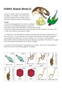 OUMNH Museum Memory!!! Test your memory and find the specimens on display in our museum - there are lots of different mammals, birds, minerals, insects and other animals all waiting to be discovered. To Play: