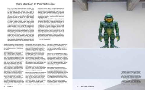 Haim Steinbach by Peter Schwenger I  saw my first Haim Steinbach a few days after seeing Haim Steinbach. I interviewed the artist for BOMB  in   July, flying into New York City from a cabin in the Nova Scotia woods, and 