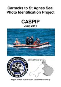 Carracks to St Agnes Seal Photo Identification Project CASPIP June 2011