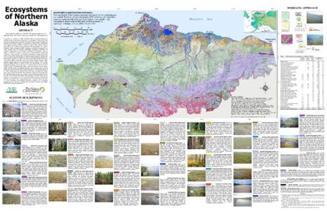 Pedology / Aulacomnium palustre / Flora of Venezuela / Tundra / Vaccinium / Larix laricina / Permafrost / Carex aquatilis / Physical geography / Flora / Geography