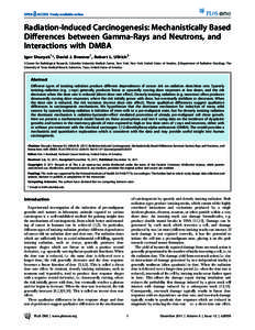 Radiation-Induced Carcinogenesis: Mechanistically Based Differences between Gamma-Rays and Neutrons, and Interactions with DMBA Igor Shuryak1*, David J. Brenner1, Robert L. Ullrich2 1 Center for Radiological Research, Co