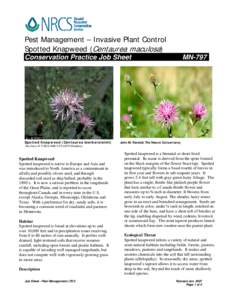Pest Management – Invasive Plant Control Spotted Knapweed (Centaurea maculosa) Conservation Practice Job Sheet Spotted Knapweed (Centaurea bierbersteinii)