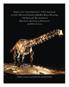 Mesozoic / Herpetology / Geography of the United States / Barosaurus / Apatosaurus / Amphicoelias / Diplodocus / Sauropoda / Camarasaurus / Jurassic dinosaurs / Diplodocoids / Dinosaurs of the Morrison Formation