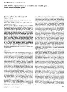 The EMBO Journal vol.6 no. 13 pp, 1987  GUS fusions: ,B-glucuronidase as fusion marker in higher plants  a