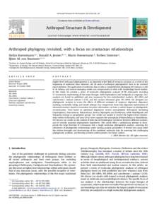 Arthropods / Zoology / Ribosomal RNA / Phylogenetic tree / Uniramia / Pancrustacea / 16S ribosomal RNA / Molecular phylogenetics / Homology / Phylogenetics / Biology / Taxonomy