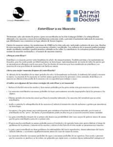 Esterilizar a su Mascota Tristemente, cada año cientos de perros y gatos son sacrificados en las Islas Galapagos debido a la sobrepoblacion. Alterando a las mascotas a traves de la esterilizacion/castracion ayuda a prev