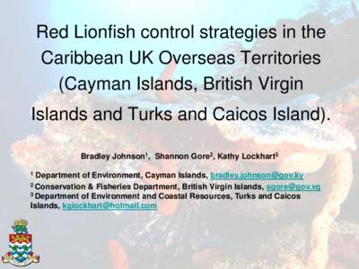 Red Lionfish control strategies in the  Caribbean UK Overseas Territories (Cayman Islands, Virgin Islands and Turks and Caicos).