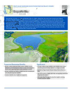 PUGET SOUND NEARSHORE ECOSYSTEM RESTORATION PROJECT (PSNERP) TENTATIVELY SELECTED PLAN Dugualla Bay  IMAGE: Washington State Department of Ecology (2006)