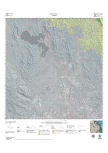 Ornamental trees / Natural history of Australia / Flora / Eucalyptus / Syncarpia glomulifera / Corymbia citriodora / Corymbia intermedia / Corymbia / Angophora floribunda / Flora of New South Wales / Trees of Australia / Flora of Australia