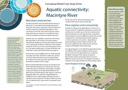 River Flow Regime Naming Model