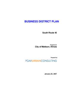 BUSINESS DISTRICT PLAN  South Route 45 Prepared for