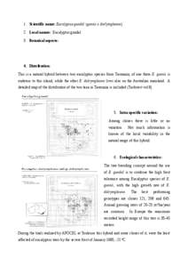 Eucalyptus / Flora / Botany / Flora of New South Wales / Flora of the Australian Capital Territory / Flora of Tasmania / Trees of Australia / Flora of Australia