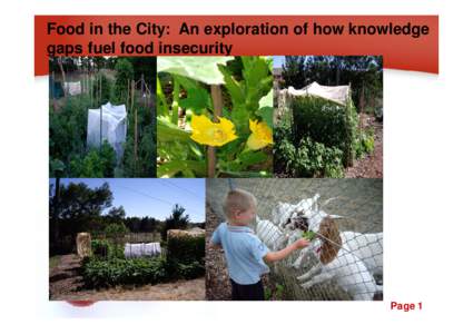 Food in the City: An exploration of how knowledge gaps fuel food insecurity Powerpoint Templates  Page 1