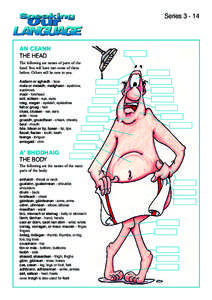 SeriesAn Ceann The head The following are names of parts of the head. You will have met some of them