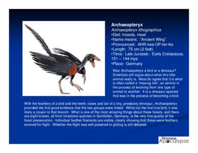 Archaeopteryx Archaeopteryx lithographica •Diet: Insects, meat •Name means: “Ancient Wing” •Pronounced: AHR-kee-OP-ter-iks •Length: 75 cm (2 feet)