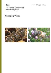 www.defra.gov.uk/fera  Managing Varroa Pollination