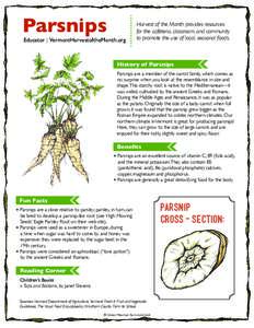 Parsnip / Plants / Carrot / Apiaceae / Sium / Seasonal food / Vegetable / Annual plant