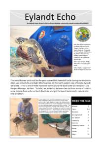 Eylandt Echo Fortnightly news & events for the Groote Eylandt community proudly produced by GEMCO left: One of four turtles rescued and released by the Rangers during a recent beach clean up. 16 people