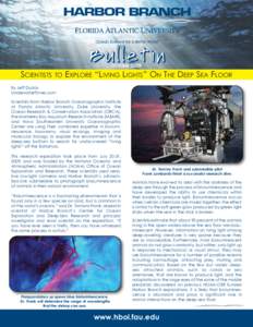 Edith Widder / Bioluminescence / Johnson Sea Link / Dolphin / Deep sea / Oceanography / Water / Florida / Florida Atlantic University / Harbor Branch Oceanographic Institute