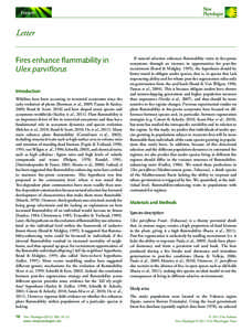 Forum  Letter Fires enhance flammability in Ulex parviflorus Introduction