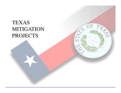 Federal Emergency Management Agency / Burnet / Disaster / Local Mitigation Strategy / Burnet County /  Texas / Benefit-cost ratio / Hays