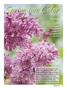 Spring into Color Story and photos by Eric Johnson While not year-round focal points in the garden, spring-flowering shrubs work