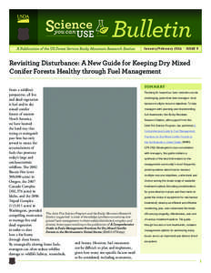 Bulletin PDF Newsletter Banner v6