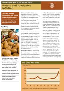 International Year of the Potato[removed]Potato and food price inflation  Unlike rice, wheat and maize, the potato