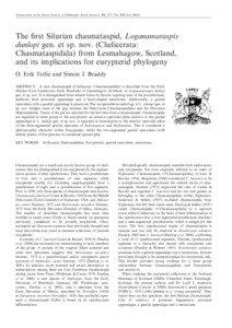 Protostome / Arthropods / Eurypterid / Chasmataspidida / Eurypterus / Dolichopterus / Xiphosura / Hughmilleria / Erettopterus / Eurypterida / Taxonomy / Phyla
