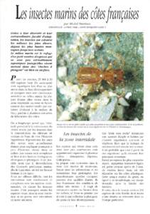 Les insectes marins des côtes rançaises par Michel Martinez INRA!ENSA.M - 2 Place Viala[removed]Montpellier Cedex 1