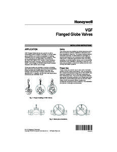 [removed]VGF Flanged Globe Valves