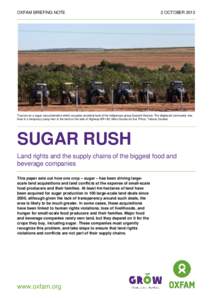 Sugar Rush: Land rights and the supply chains of the biggest food and beverage companies