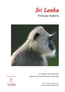 Sri Lanka Primate Safaris