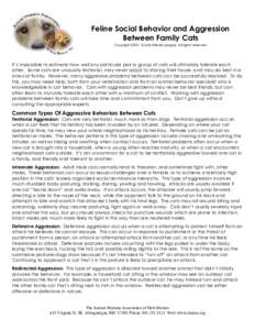 feline social behavior and aggressive problems between family cats