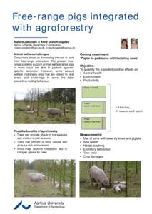 Free-range pigs integrated with agroforestry Malene Jakobsen & Anne Grete Kongsted Aarhus University, Department of Agroecology , 