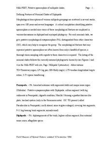 Milli-PEET, Putative apomorphies of millipede clades;  Page - 1 -