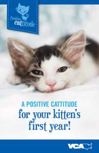 A positive cattitude  for your kitten’s first year!  Congratulations on the