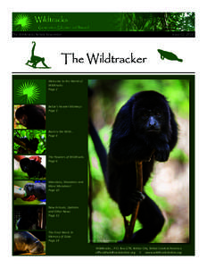 The Wildtracks Rehab Newsletter  Issue 02, 2014 The Wildtracker Welcome to the World of