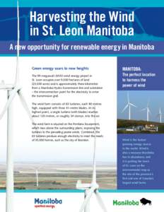 Harvesting the Wind in St. Leon Manitoba A new opportunity for renewable energy in Manitoba Green energy soars to new heights The 99-megawatt (MW) wind energy project in St. Leon occupies over 9,000 hectares of land