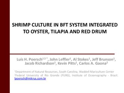 SHRIMP CULTURE IN BFT SYSTEM INTEGRATED TO OYSTER, TILAPIA AND RED DRUM Luís H. Poersch1 2 *, John Leffler1, Al Stokes1, Jeff Brunson1, Jacob Richardson1, Kevin Pitts1, Carlos A. Gaona2 1Department