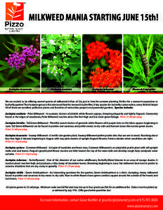 PNPN 2015 Milkweed Mania Promotion Mid Res