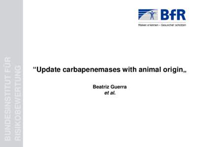 BUNDESINSTITUT FÜR RISIKOBEWERTUNG “Update carbapenemases with animal origin„ Beatriz Guerra et al.