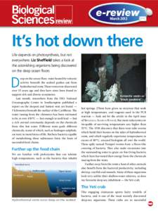 e-review March 2012 It’s hot down there D